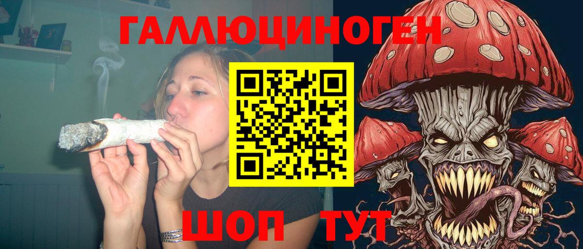 Галлюциногенные грибы Psilocybe Советск