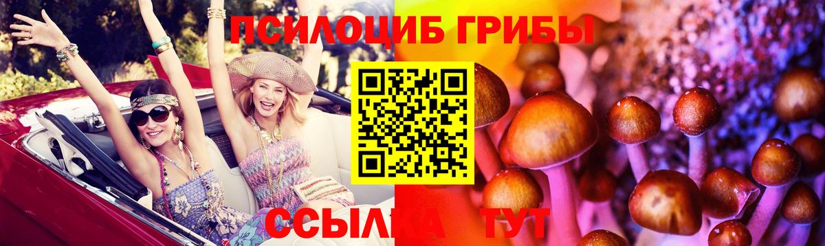 Советск  Псилоцибиновые грибы прущие грибы  Вход с VPN  что такое   Галлюциногенные грибы Magic Shrooms 